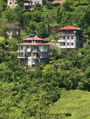 Kelesoğlu Apart